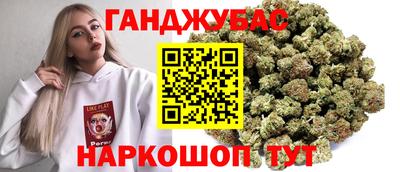 сатива Шахты