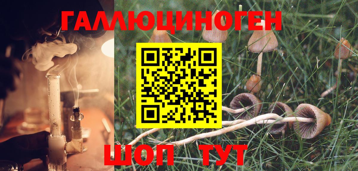 Галлюциногенные грибы Magic Shrooms Волгодонск