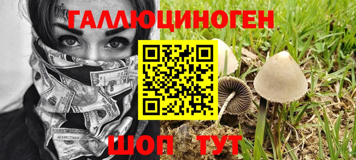 Псилоцибиновые грибы Psilocybe  Псилоцибиновые грибы мицелий  Волгодонск  Вход с VPN 